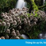 Loạt ảnh thiên nhiên đẹp nhất năm 2020