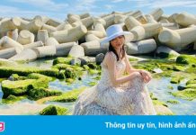 Mùa rêu xanh ở Phú Yên đẹp nhất vào tháng mấy?