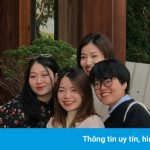 Phố đi bộ, Nhà thờ Lớn đông người dạo chơi ngày đầu năm