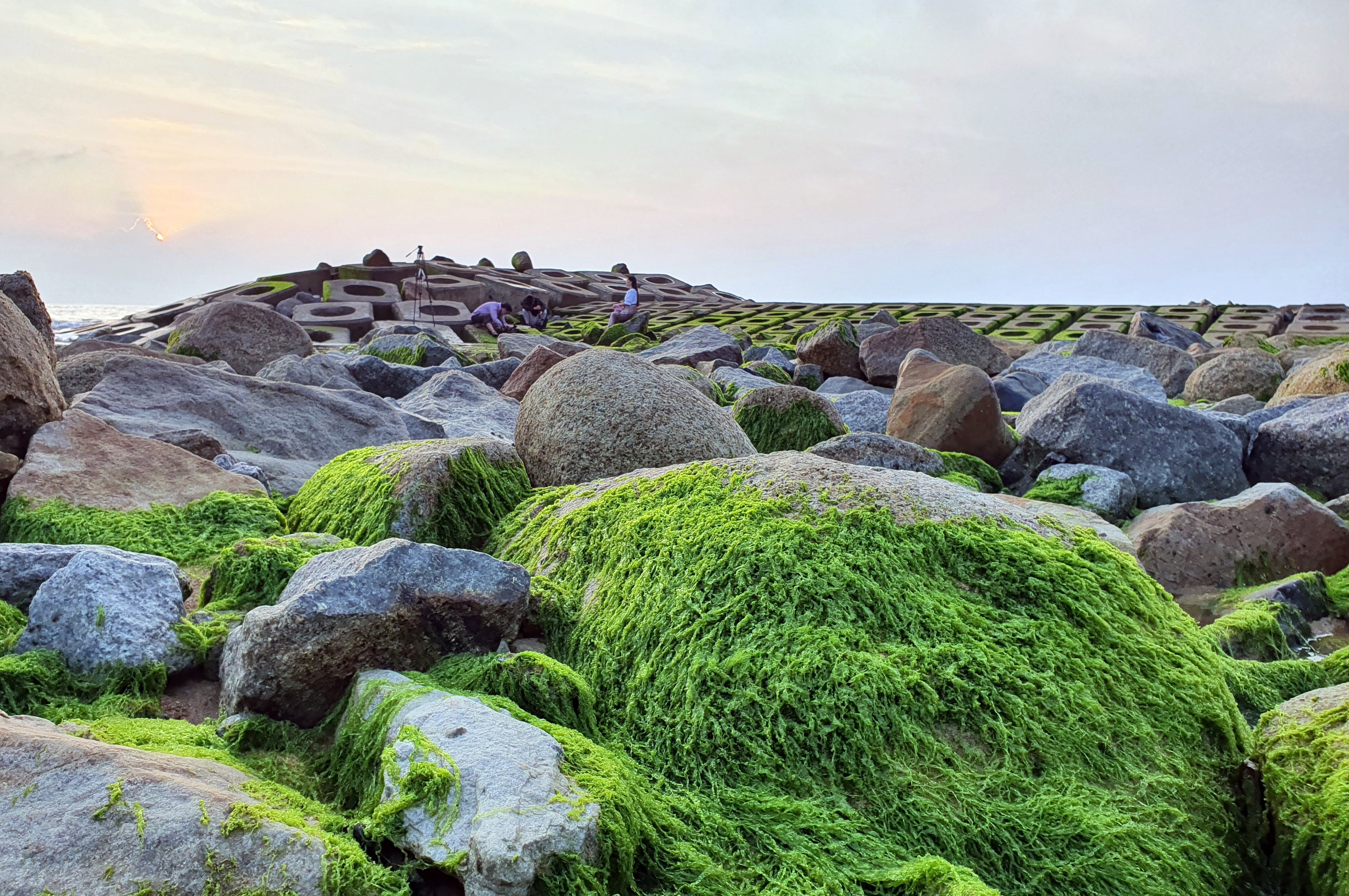 Du khách đổ xô check-in bãi đá rêu xanh đẹp nhất Phú Yên - 7
