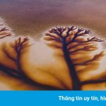 Hình ảnh cây giữa hồ gây chú ý mạng xã hội