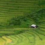 5 điểm du lịch Sapa đẹp ngỡ ngàng không nên bỏ lỡ 5 điểm du lịch Sapa đẹp ngỡ ngàng không nên bỏ lỡ