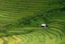 5 điểm du lịch Sapa đẹp ngỡ ngàng không nên bỏ lỡ 5 điểm du lịch Sapa đẹp ngỡ ngàng không nên bỏ lỡ