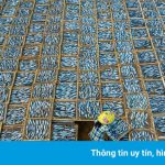 Cảnh phơi cá ở Việt Nam vào top ảnh đẹp thế giới