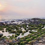 Du khách đổ xô check-in bãi đá rêu xanh đẹp nhất Phú Yên Du khách đổ xô check-in bãi đá rêu xanh đẹp nhất Phú Yên - 1