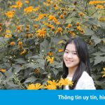 Đồi hoa xuân ở Nghệ An hút du khách dịp cuối năm