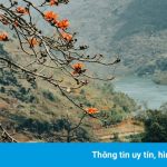 Sắc xuân trên rẻo cao Hà Giang