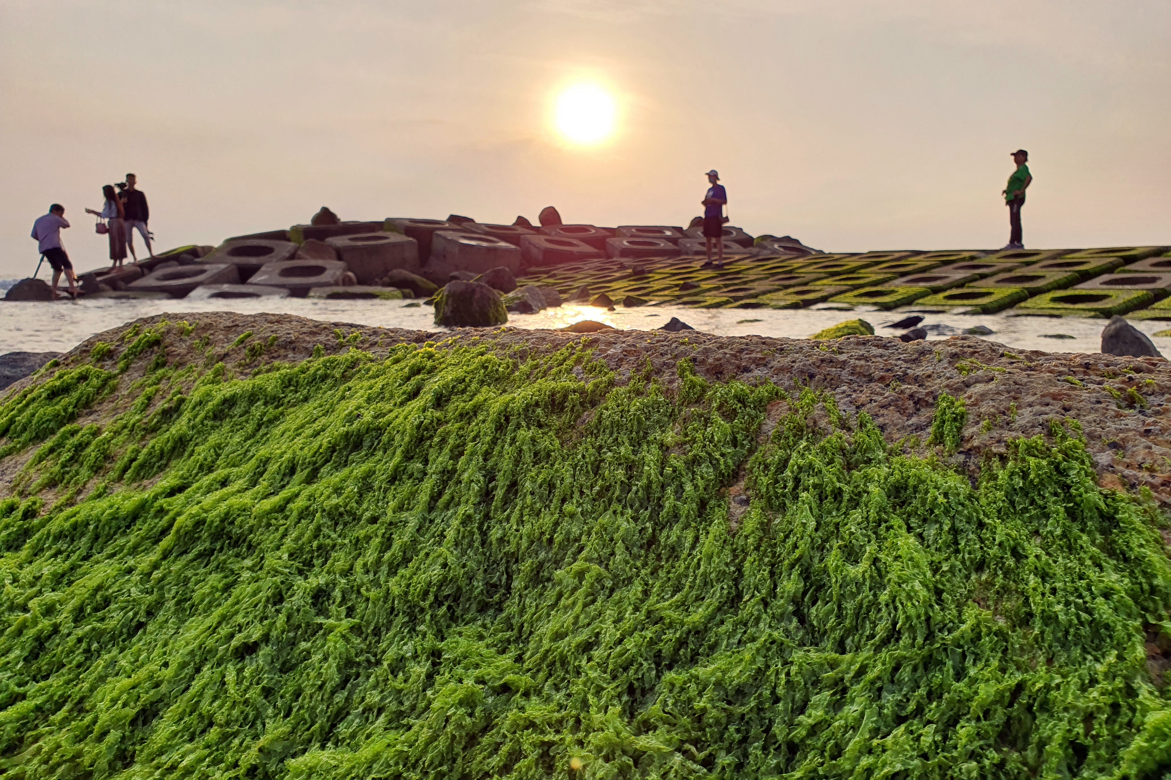 Du khách đổ xô check-in bãi đá rêu xanh đẹp nhất Phú Yên - 4