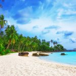 Bí Quyết Săn Vé Máy Bay Hà Nội Phú Quốc Giá Rẻ Vé Máy Bay Hà Nội Phú Quốc