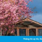 Nơi ngắm hoa xuân ở Đà Lạt