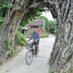 Cây đa 500 tuổi có bộ rễ khủng tạo thành cổng làng ‘độc’ nhất ở Hưng Yên Cây đa 500 tuổi có bộ rễ khủng tạo thành cổng làng 'độc' nhất ở Hưng Yên