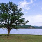 Vé Máy Bay Sài Gòn Đà Lạt vé máy bay sài gòn đà lạt