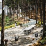 Người Việt chọn đón năm mới 2021 ở đâu nhiều nhất? Người Việt chọn đón năm mới 2021 ở đâu nhiều nhất? - Ảnh 1.