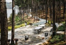 Người Việt chọn đón năm mới 2021 ở đâu nhiều nhất? Người Việt chọn đón năm mới 2021 ở đâu nhiều nhất? - Ảnh 1.