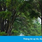 Vẻ đẹp bình yên của phố núi Gia Lai