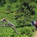 2 ngày leo đỉnh núi Tà Chì Nhù ngắm hoàng hôn tím lịm 2 ngày leo đỉnh núi Tà Chì Nhù ngắm hoàng hôn tím lịm - Ảnh 1.
