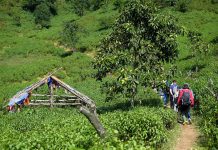 2 ngày leo đỉnh núi Tà Chì Nhù ngắm hoàng hôn tím lịm 2 ngày leo đỉnh núi Tà Chì Nhù ngắm hoàng hôn tím lịm - Ảnh 1.
