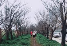 Xót xa ‘con đường mùa đông’ ở Đà Nẵng bị giẫm đạp tan hoang Xót xa 'con đường mùa đông' ở Đà Nẵng bị giẫm đạp tan hoang