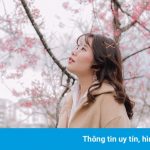 Lên lịch check-in Đà Lạt mùa mai anh đào