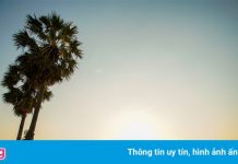 Tây Ninh tổ chức giải chạy trên cung đường ấn tượng