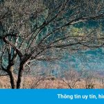 Thung lũng bị bỏ quên của núi rừng Tây Bắc