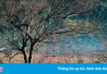 Thung lũng bị bỏ quên của núi rừng Tây Bắc