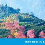 Khám phá vẻ thơ mộng của mùa xuân phương Bắc