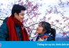 Mai anh đào nở rộ ở Đà Lạt dịp đầu năm