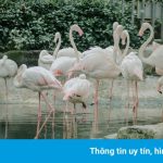 Vẻ xanh mướt của Thảo Cầm Viên