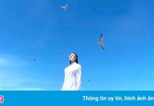 Những địa danh biển đảo mang tên loài vật ở Việt Nam