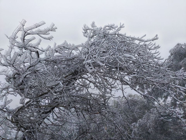 Mẫu Sơn - miền tuyết trắng linh thiêng giữa thiên nhiên hùng vĩ