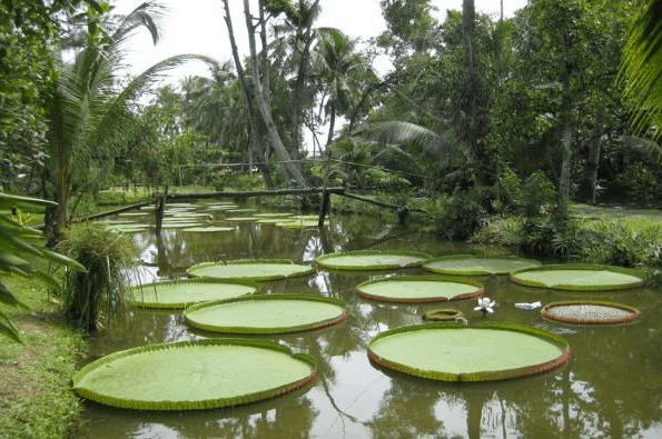 Những điểm vui chơi ở Sài Gòn dịp Tết Dương lịch 2021