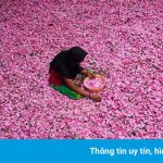 Thủ đô nước hoa của Ấn Độ