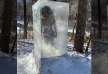 “Tượng băng người tối cổ” kỳ lạ trên núi tuyết “Tượng băng người tối cổ” kỳ lạ trên núi tuyết - Ảnh 1.