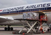 Singapore hi vọng trở thành trung tâm trung chuyển vắc xin COVID-19 ra thế giới Singapore hi vọng trở thành trung tâm trung chuyển vắc xin COVID-19 ra thế giới - Ảnh 1.