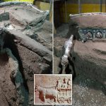 Tìm thấy chiến xa La Mã cổ đại toàn vẹn chưa từng có Tìm thấy chiến xa La Mã cổ đại toàn vẹn chưa từng có - Ảnh 1.