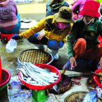 Đừng đến Phú Yên chỉ vì ‘hoa vàng trên cỏ xanh’ Đừng đến Phú Yên chỉ vì 'hoa vàng trên cỏ xanh'