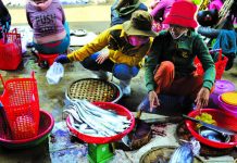 Đừng đến Phú Yên chỉ vì ‘hoa vàng trên cỏ xanh’ Đừng đến Phú Yên chỉ vì 'hoa vàng trên cỏ xanh'