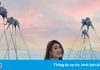‘Đi Phú Quốc bây giờ sướng thật, cái gì cũng rẻ’
