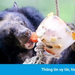 Thảo Cầm Viên tăng giá vé từ đầu năm 2021