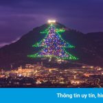 Cây thông Noel có kích thước gần bằng ngọn núi