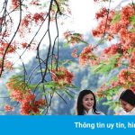 Những loài hoa biểu tượng ở các địa phương