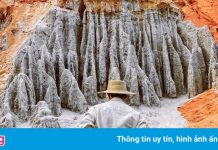 Thắng cảnh Suối Tiên nằm ở tỉnh nào?