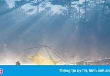 Sương sớm trên hồ Tuyền Lâm