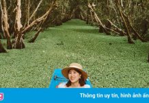 5 rừng tràm hút tín đồ xê dịch ở miền Tây