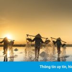 4 cánh đồng muối nổi tiếng ở miền Trung