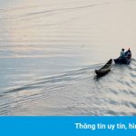 Phú Yên không chỉ có ‘hoa vàng trên cỏ xanh’