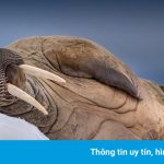 Loạt ảnh về những nơi lạnh nhất thế giới