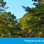 Cấm xe 16 chỗ lên Đà Lạt bằng đèo Prenn dịp lễ 30/4