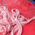 Thứ ngoe nguẩy nhìn ‘rợn da gà’ nhưng lên mâm lại trở thành đặc sản đắt giá Thứ ngoe nguẩy nhìn 'rợn da gà' nhưng lên mâm lại trở thành đặc sản đắt giá